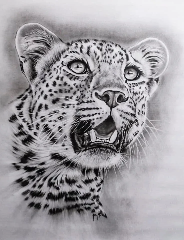 Detailed monochrome leopard portrait