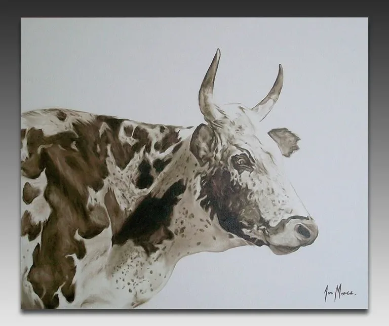 A spotted Nguni cow in soft sepia tones